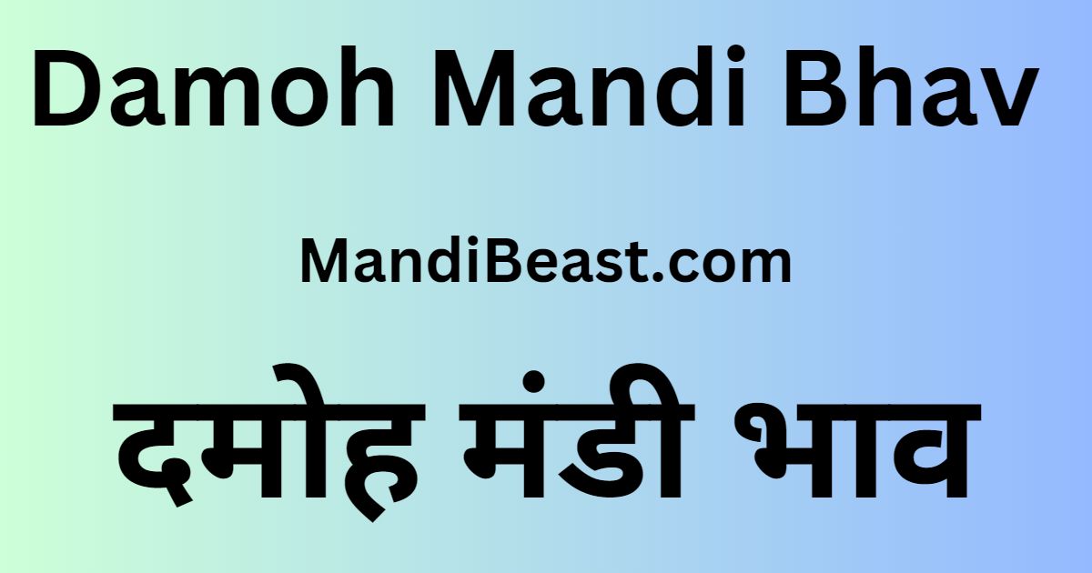 Damoh Mandi Bhav