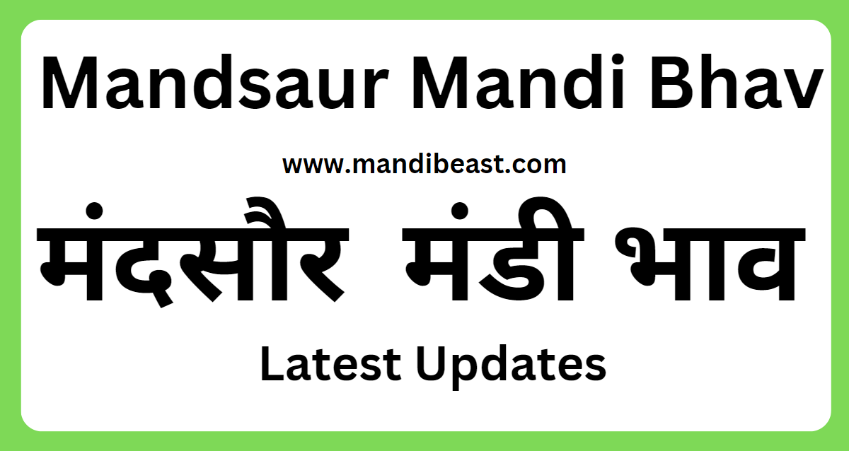 Mandsaur Mandi Bhav