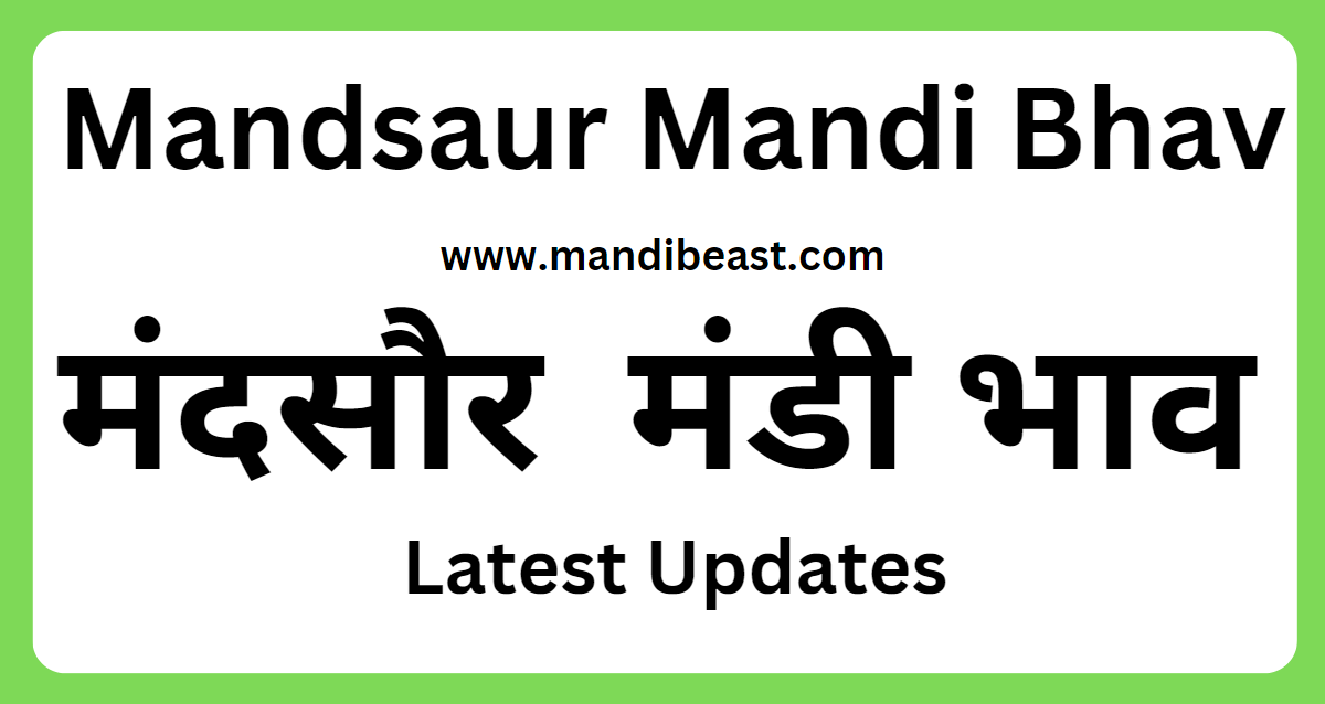 Mandsaur Mandi Bhav 
