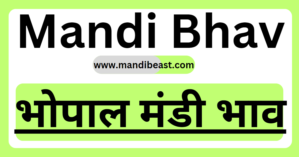 Bhopal Mandi Bhav 