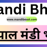 Bhopal Mandi Bhav
