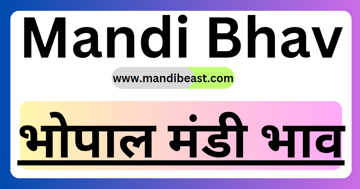 Bhopal Mandi Bhav 